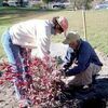 Norton Parks and Recreation Director Shelly Knox and Steven Shelly help with planting. PHOTO PROVIDED BY CAROL DOSS.