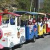 This 'kiddie train' carried a group of children in the Russell Fork Autumn Fest Parade Saturday and offered rides throughout the day. PHOTO BY WADE ROSE.Click Hereto order photo reprints